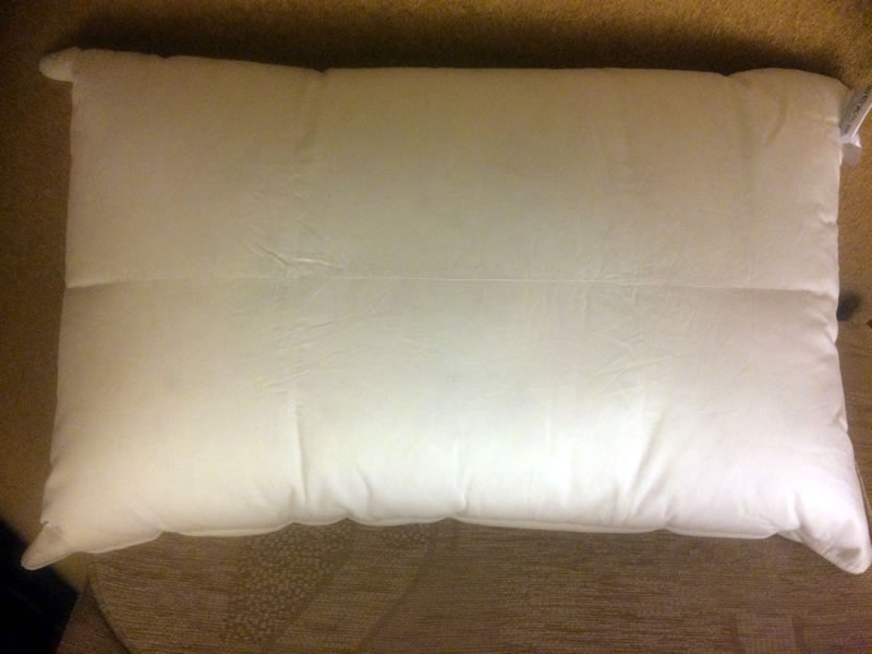 Double Duck Down Surround Pillow No Mite Downfresh